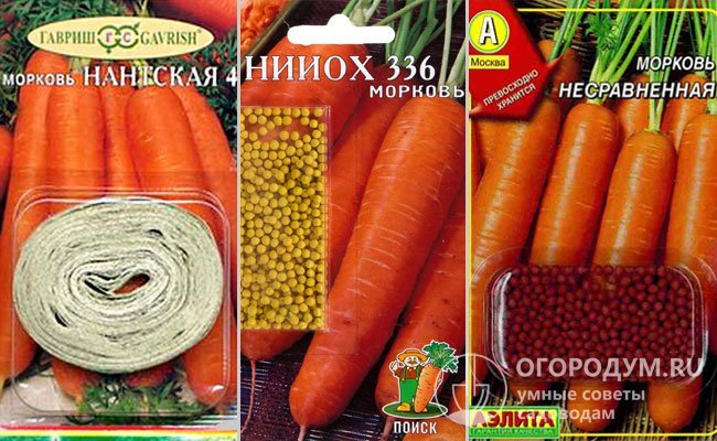На фото – семена моркови в разных формах выпуска от известных отечественных агрофирм-производителей посадочного материала