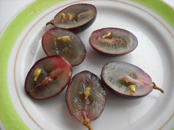 Ягоды винограда на разрезе