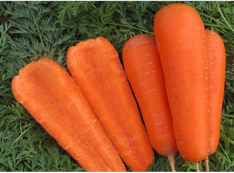 Как вырастить морковь сорта несравненная?