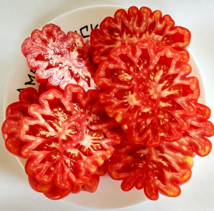 Топ-25 самых сладких сортов томатов и советы по их выбору для каждого садовода