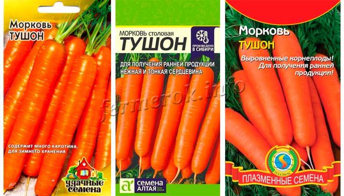 Морковь сорт Тушон 