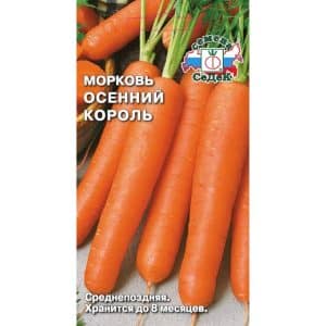 Среднепоздний сорт моркови Осенний король
