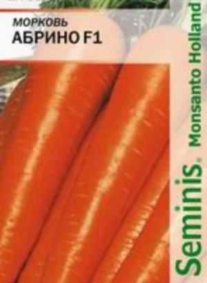 морковь для сибири