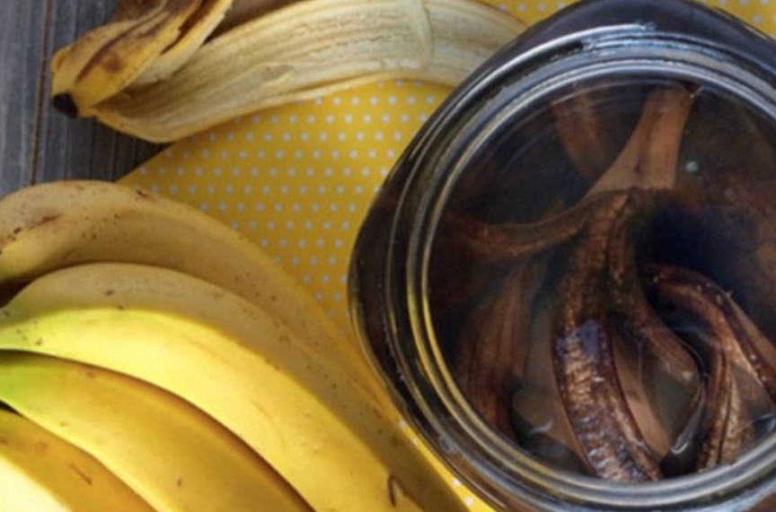 Как сделать подкормку из банановой кожуры для рассады и комнатных цветов