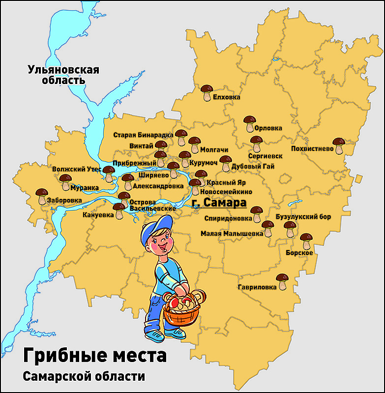 карта и грибные места Самарской области фото 1