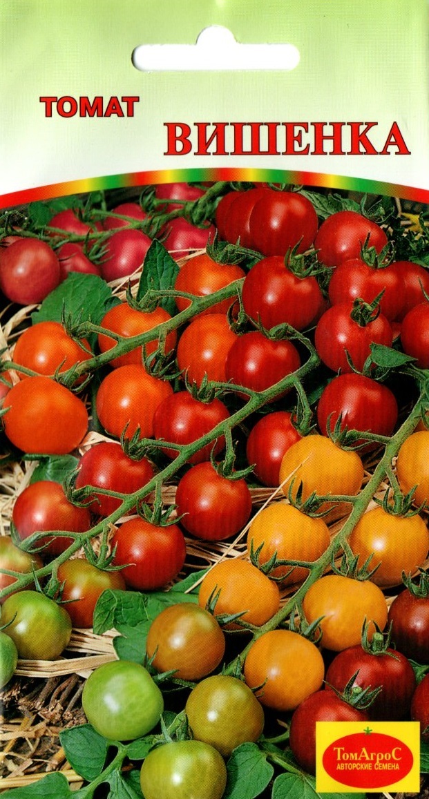 томат вишенка фото