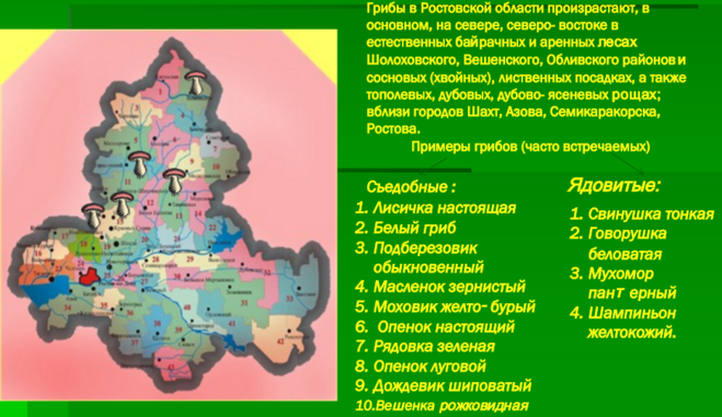 самые грибные места Ростовской области + карта