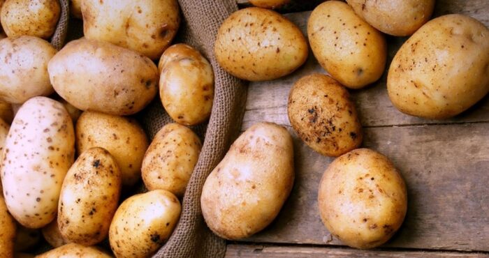 самые лучшие сорта картофеля на 2020 год
