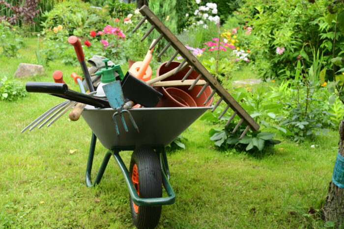 какие садово-огородные работы можно делать в апреле фото