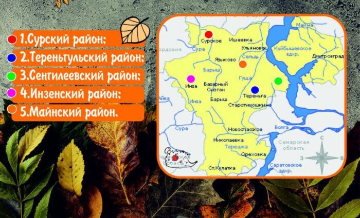 грибные места Ульяновской области, карта 2020 фото 2