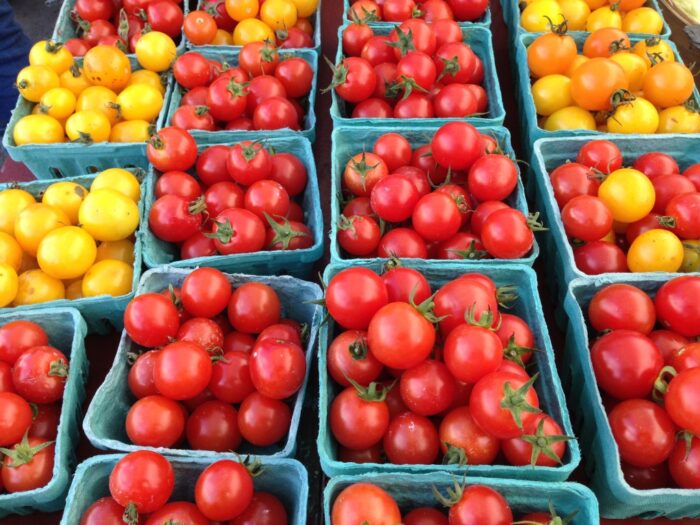 vysadka rassady pomidor v otkrytyj grunt v 2020 godu10