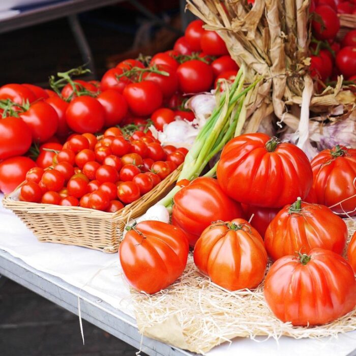 vysadka rassady pomidor v otkrytyj grunt v 2020 godu9