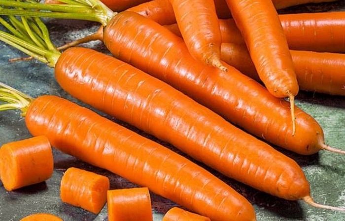 морковь королева осени характеристика и описание сорта