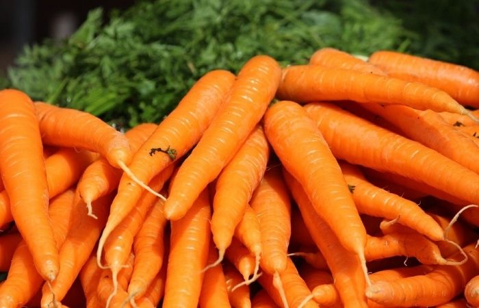 морковь император описание сорта характеристика