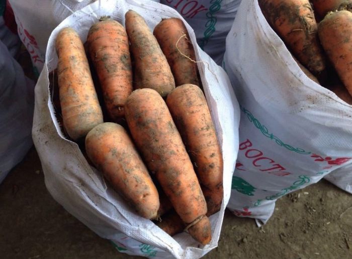 хранение моркови в домашних условиях