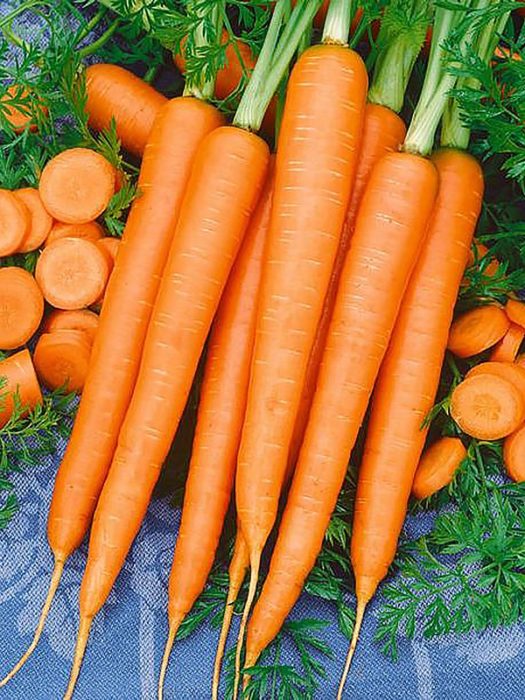 Характеристика и описание сорта моркови «Император»